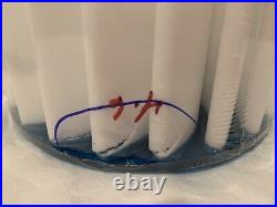 5-pack Hot Spring Filter Cartridge Tri-x Ceramic # 73178 71825 1990-current