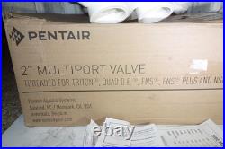 Genuine Pentair 261152 Multiport Valve Kit 2 for FNS, FNS Plus, NSP Filters