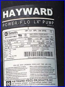 Hayward EC40 Perflex Above Ground Pool EC40 DE Filter System with 1hp Pump