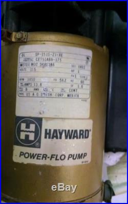 Hayward pool pump and Perflex Filter