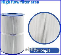 PDM30 Spa Filter Oval Filter for Dream Maker Hot Tubs 461269,30 Sq. Ft, 2 Pack