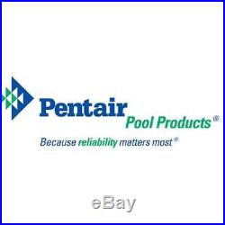 Pentair 180009 FNS Plus Inground Swimming Pool DE Filter 60 Sq. Ft (Damaged)