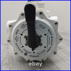 Pentair 2 Multiport Valve 7.5 Centers for Triton and Quad Filters 261055