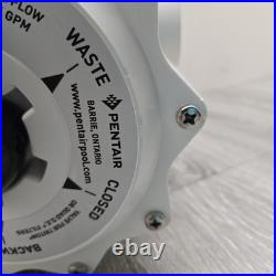 Pentair 2 Multiport Valve 7.5 Centers for Triton and Quad Filters 261055