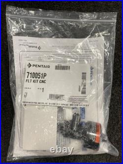 Pentair EC-160317 Clean & Clear 150 sq. Ft. Cartridge Pool Filter