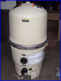 Pentair FNS Plus 48 DE Swimming Pool Filter 180008 with chipped base. Spa