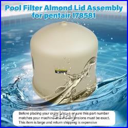 Pentair Lid Tank Assembly Replacement Pool and Spa Filter (420 Model) 178581